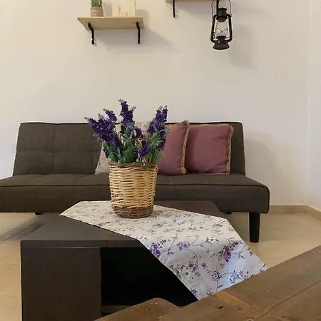 Διαμέρισμα Irene's House