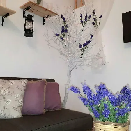 Irene's House Διαμέρισμα