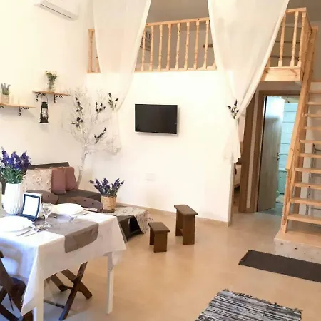 Irene's House