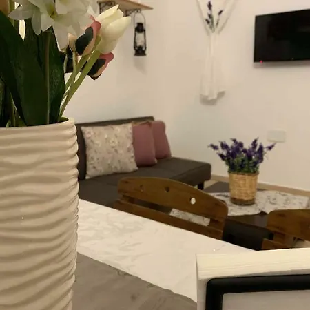 Irene's House דירה *