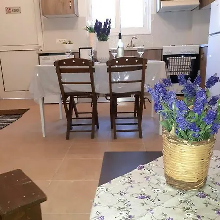 דירה Irene's House