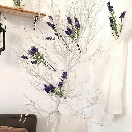 דירה Irene's House Koskinou (Rhodes)